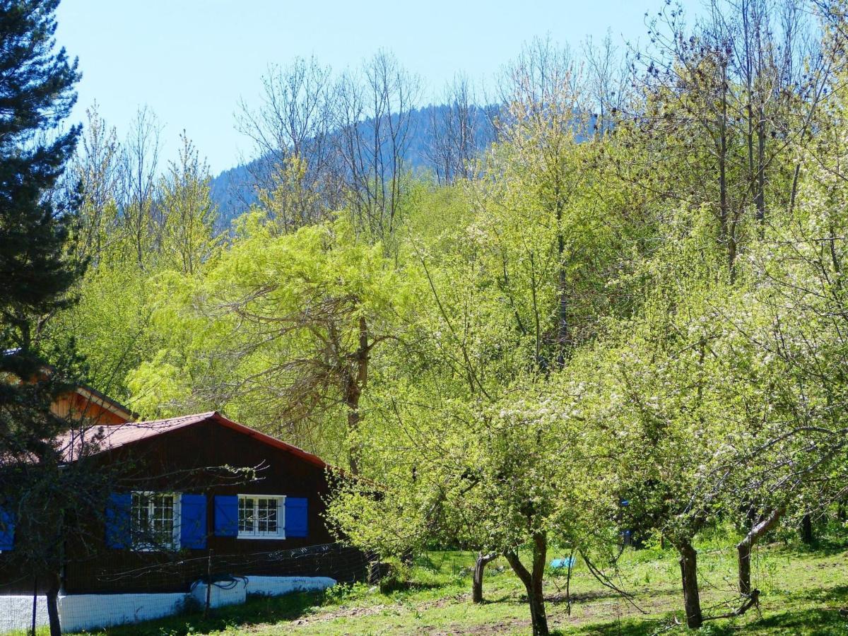 Roquefort-de-Sault Chalet With Garden In The Pyrenees 빌라 외부 사진