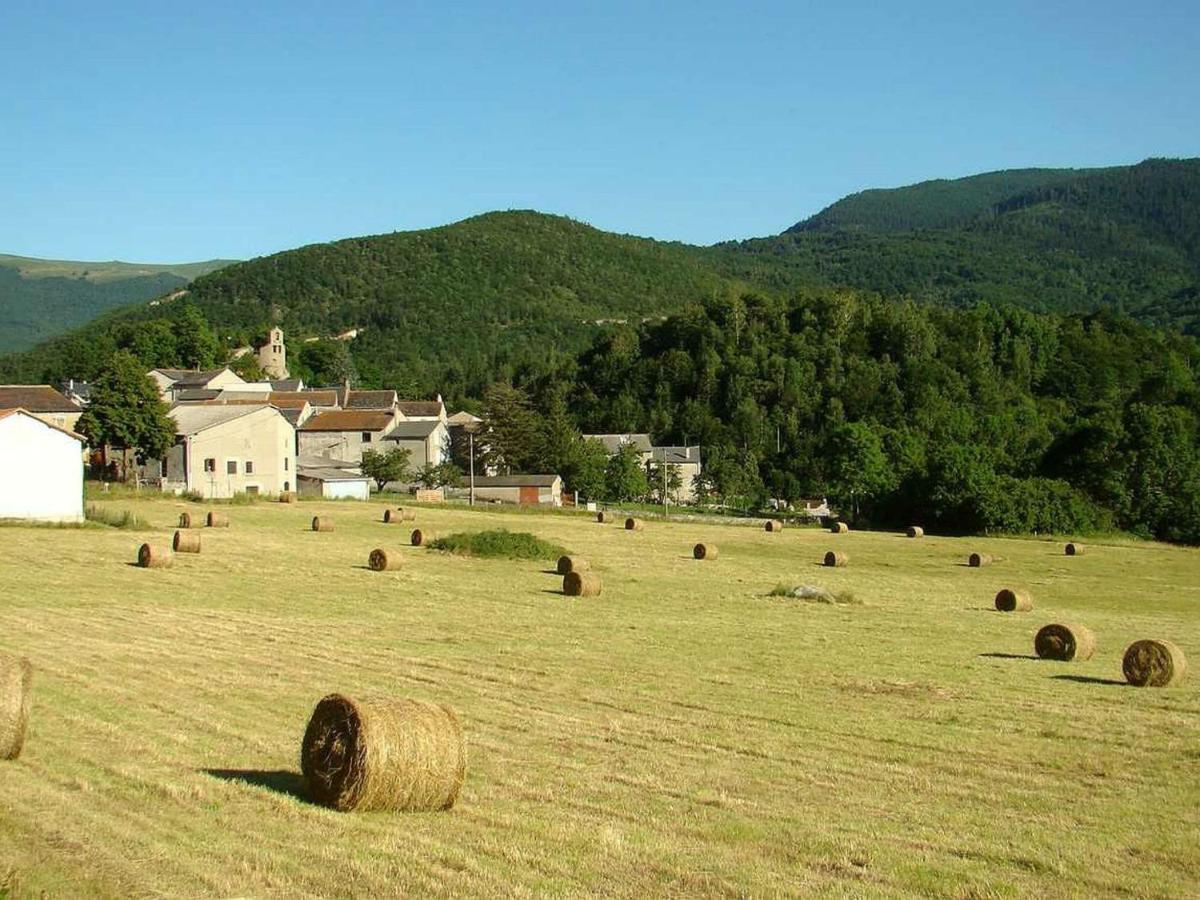 Roquefort-de-Sault Chalet With Garden In The Pyrenees 빌라 외부 사진