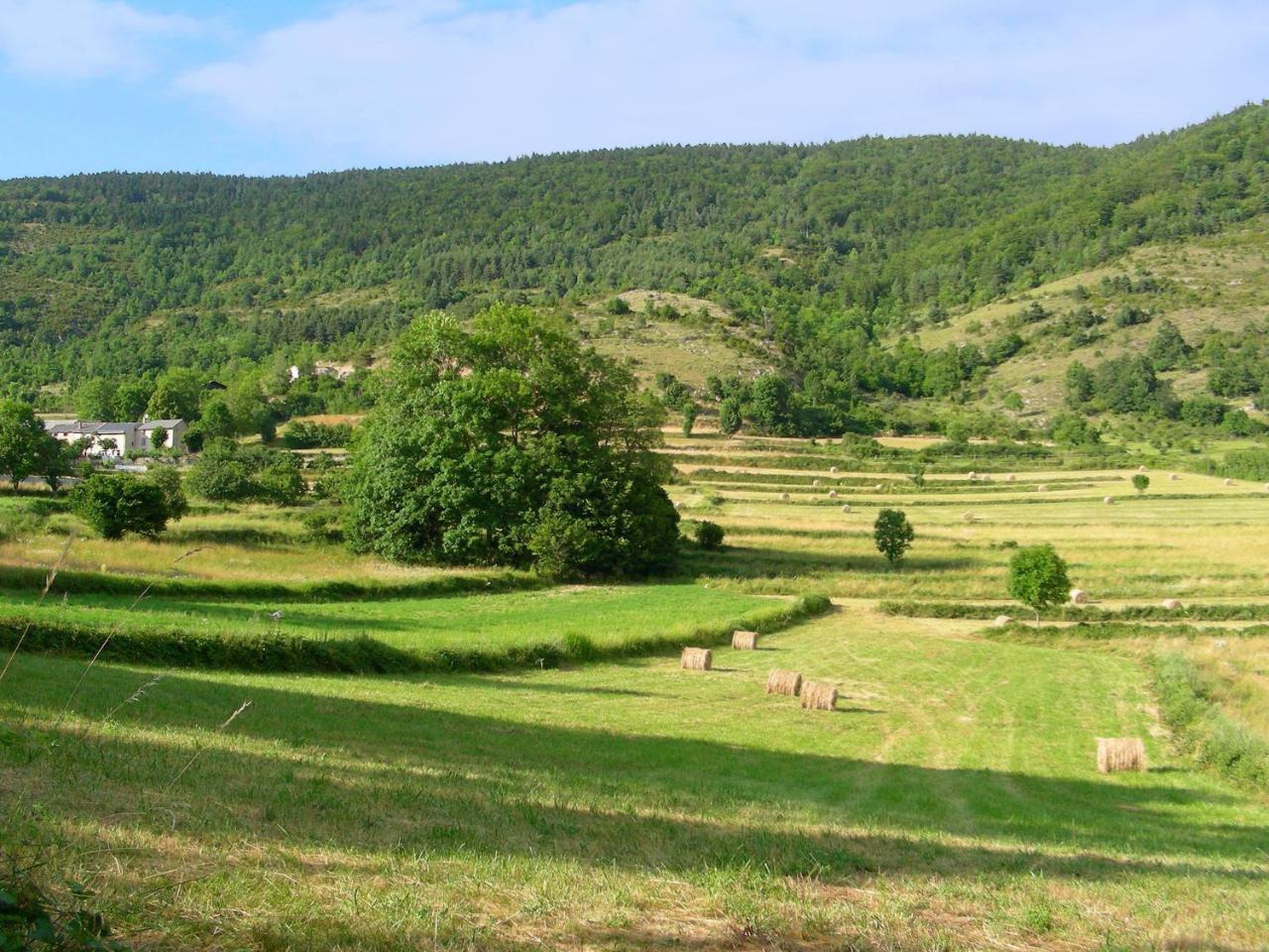 Roquefort-de-Sault Chalet With Garden In The Pyrenees 빌라 외부 사진