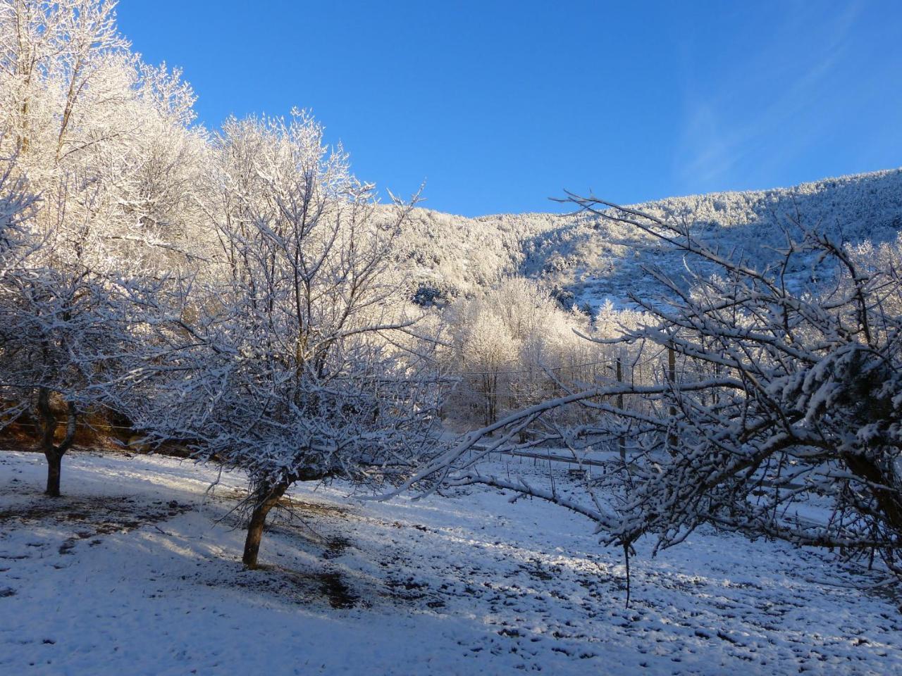 Roquefort-de-Sault Chalet With Garden In The Pyrenees 빌라 외부 사진